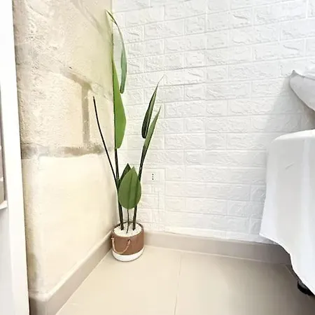 Apartamento Accogliente Monolocale In Centro Storico